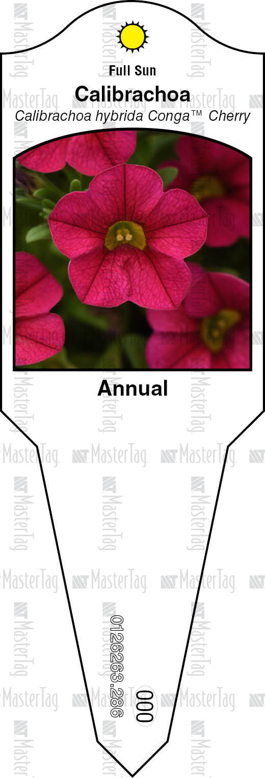 Plant Labels, Tags, Stakes Printer for Horticulture Industry
