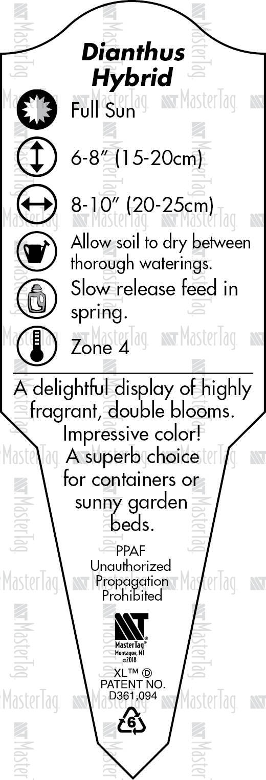 Plant Labels, Tags, Stakes Printer for Horticulture Industry
