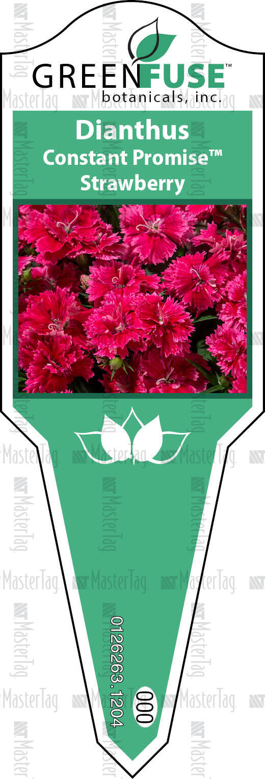 Plant Labels, Tags, Stakes Printer for Horticulture Industry