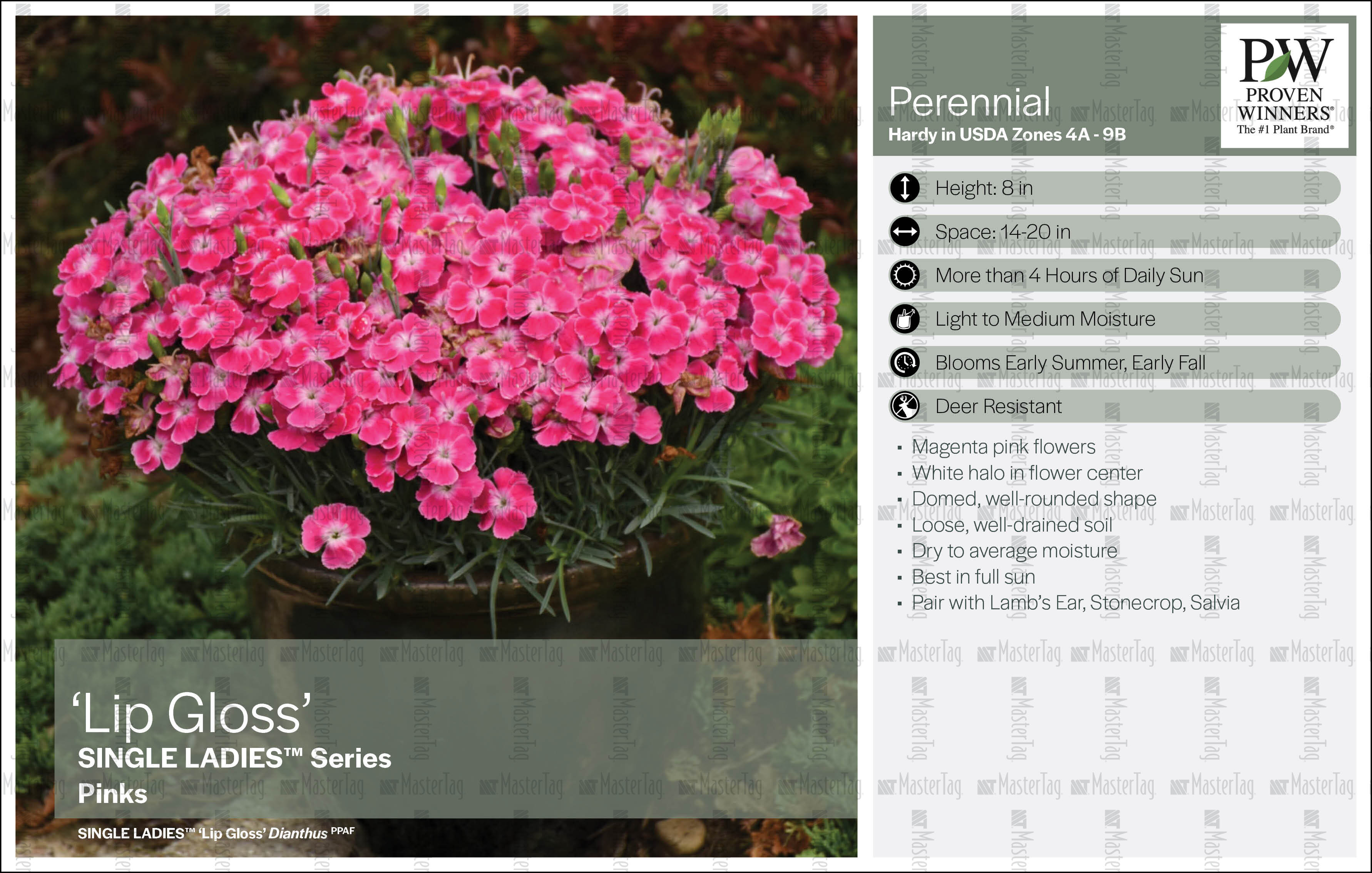 Plant Labels, Tags, Stakes Printer for Horticulture Industry