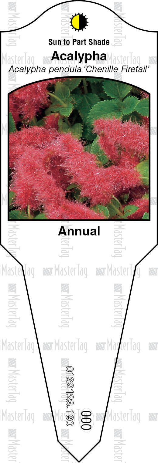 Plant Labels, Tags, Stakes Printer for Horticulture Industry