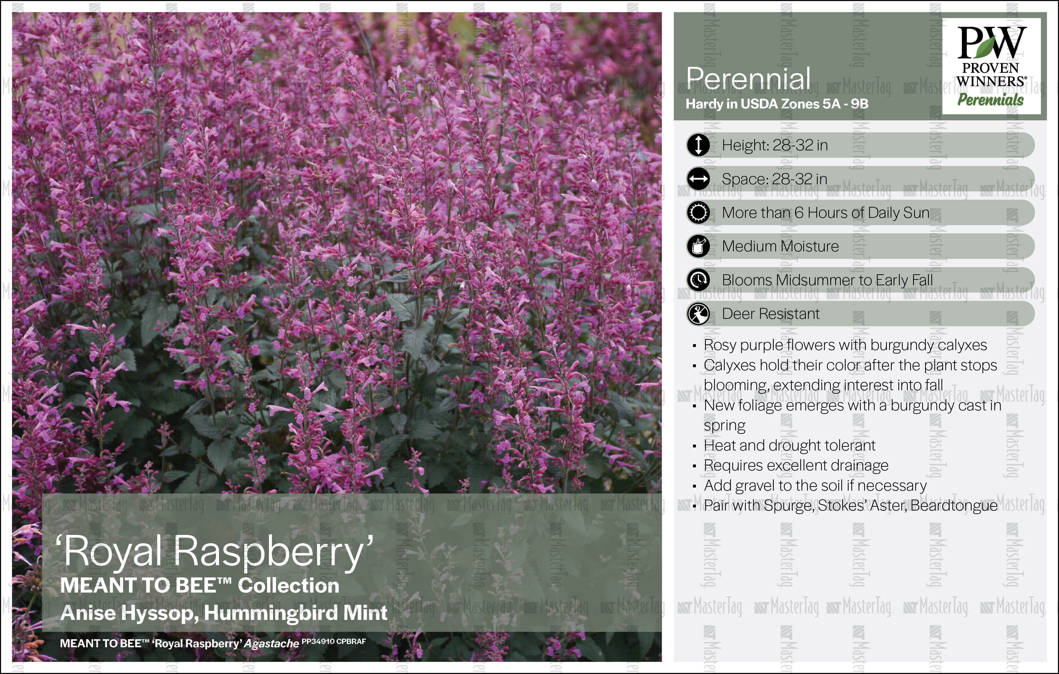 Royal Raspberry Anise Plant Labels, Tags, Stakes Printer for Horticulture Industry