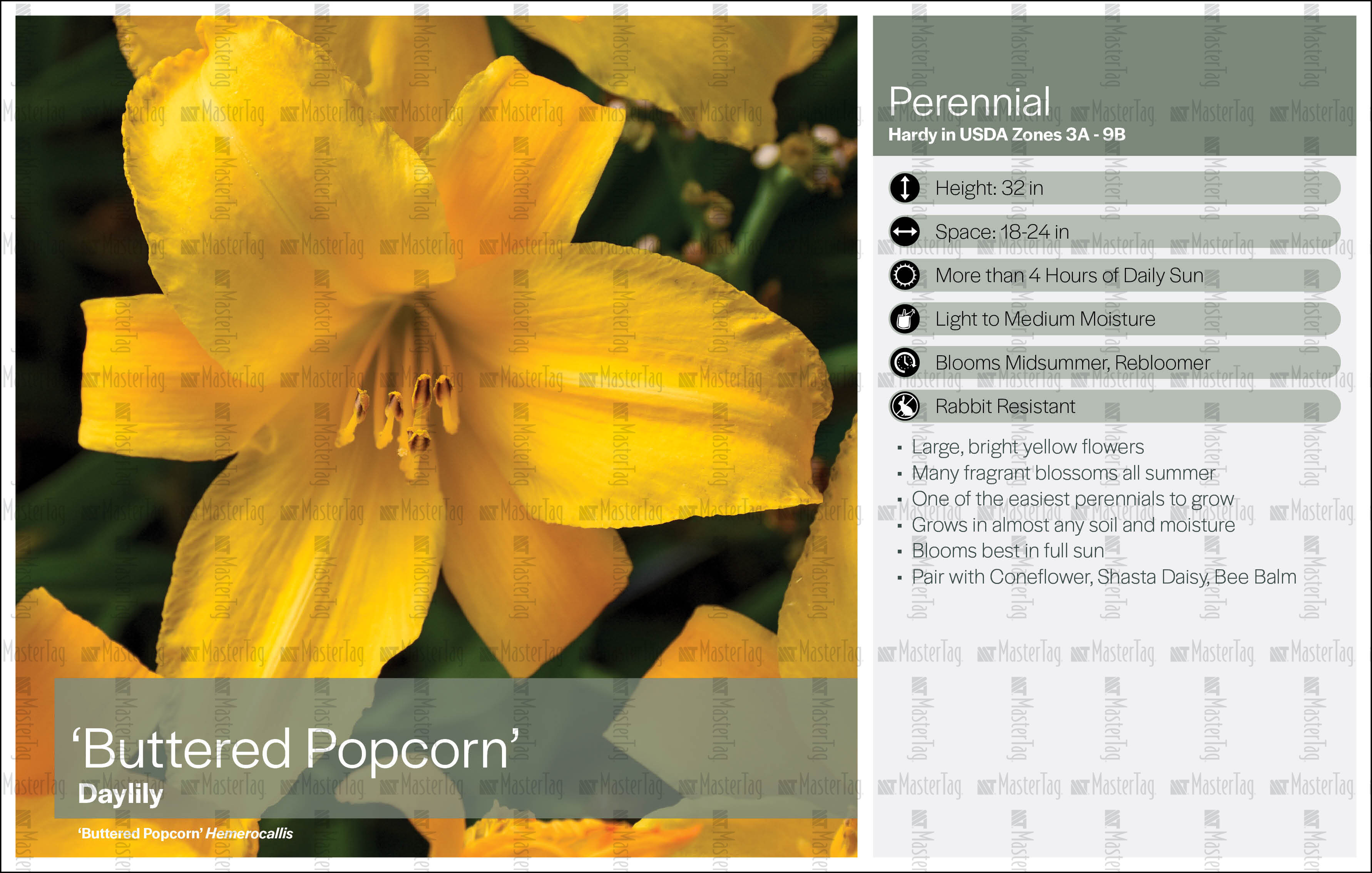Plant Labels, Tags, Stakes Printer for Horticulture Industry