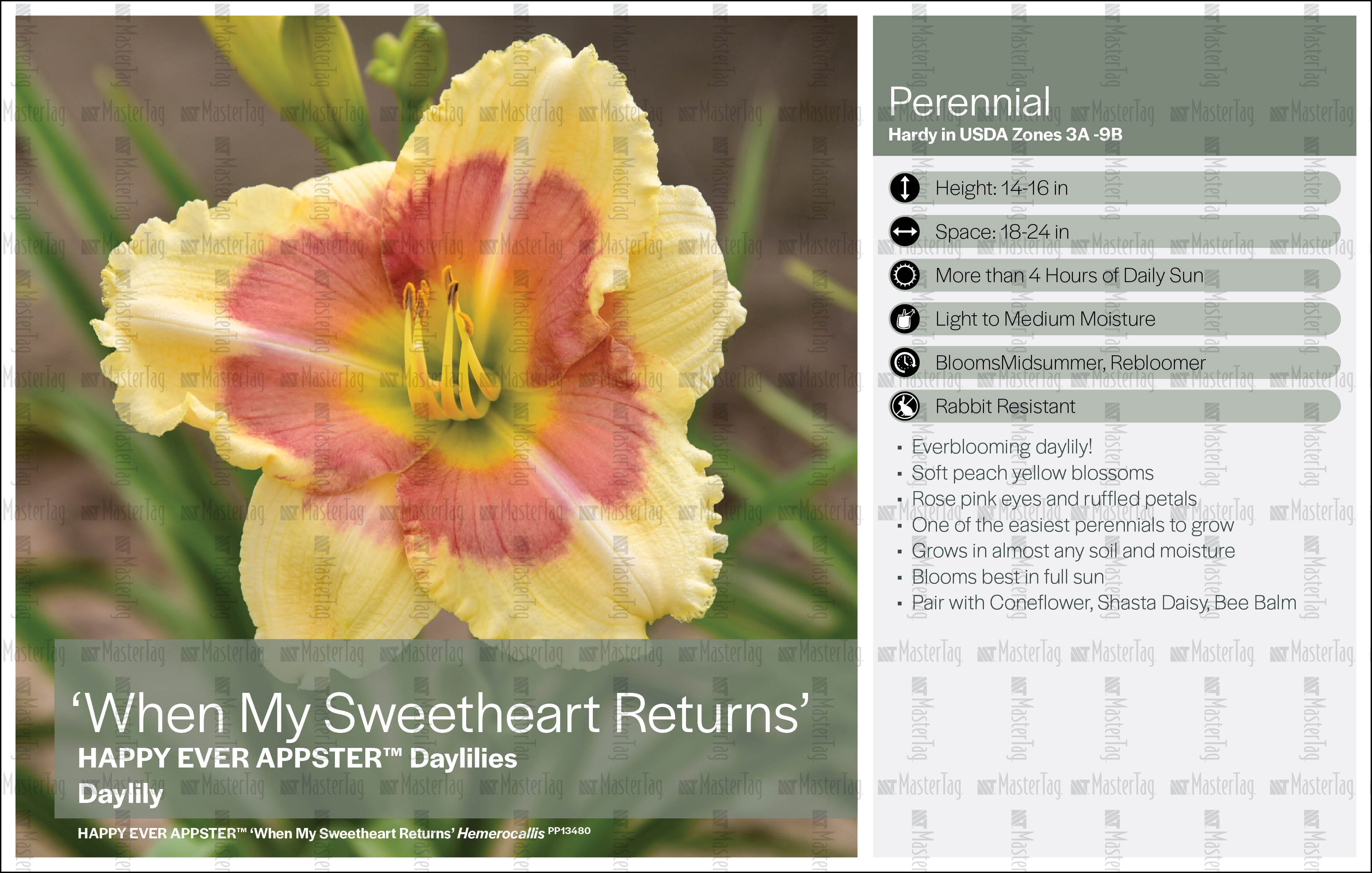 Plant Labels, Tags, Stakes Printer for Horticulture Industry