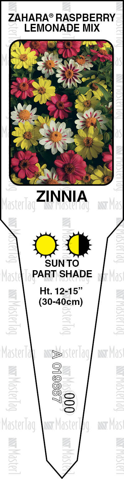 Zinnia Zahara® Raspberry Lemonade Mix Master Tag Stake Tag