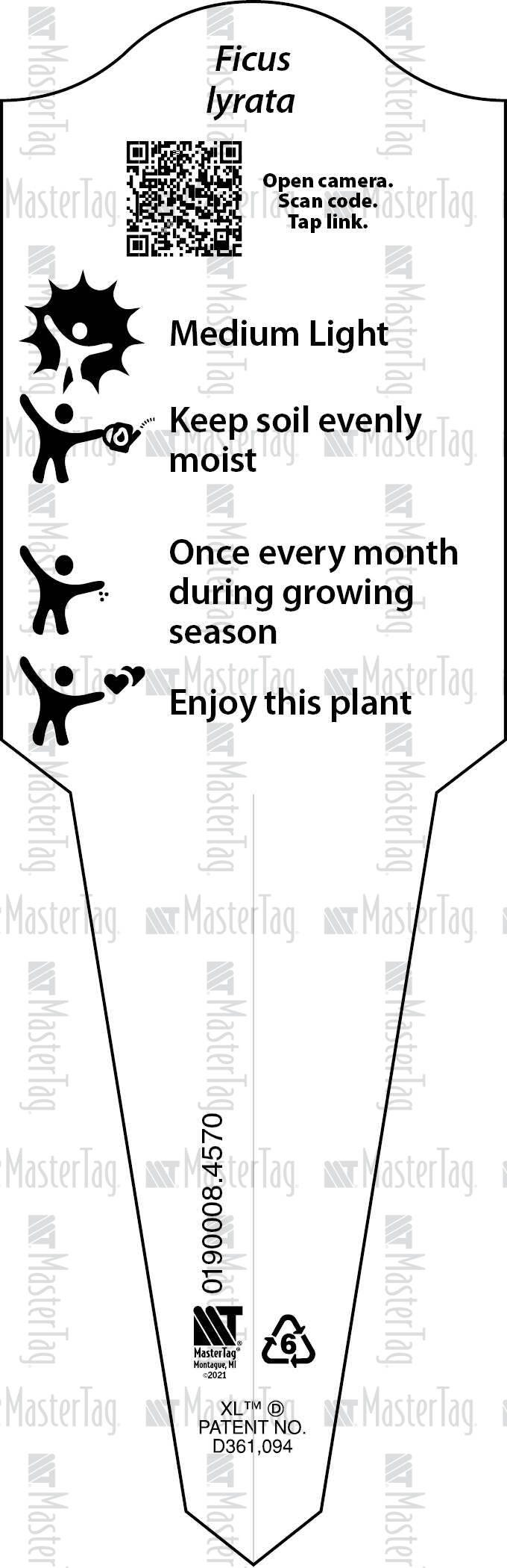 Fiddleleaf Fig Ficus lyrata Universal XL Stake Tag