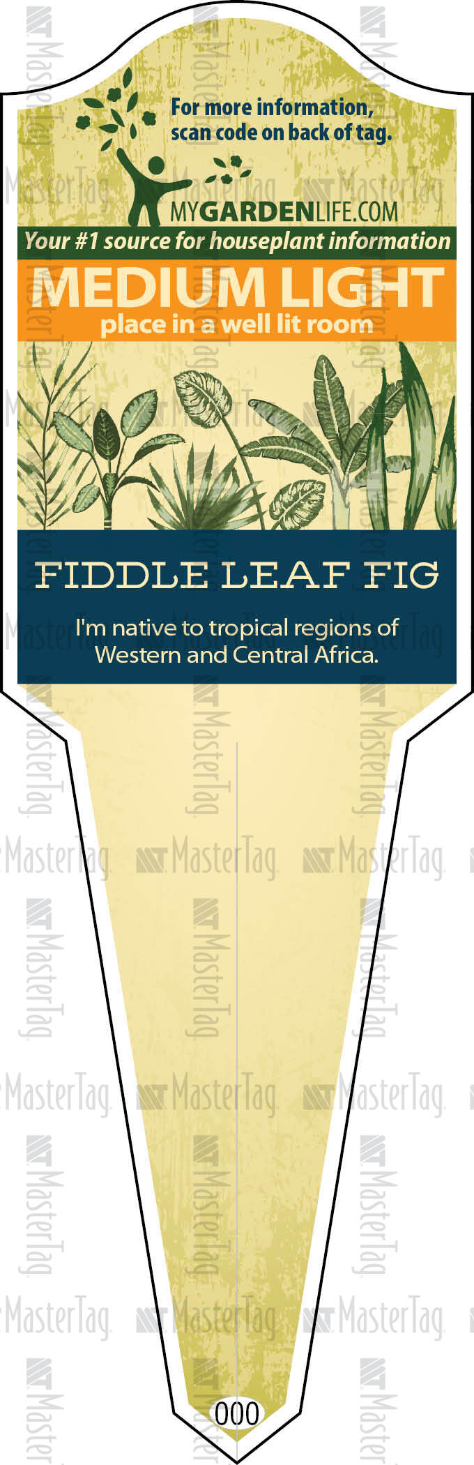 Fiddleleaf Fig Ficus lyrata Universal XL Stake Tag